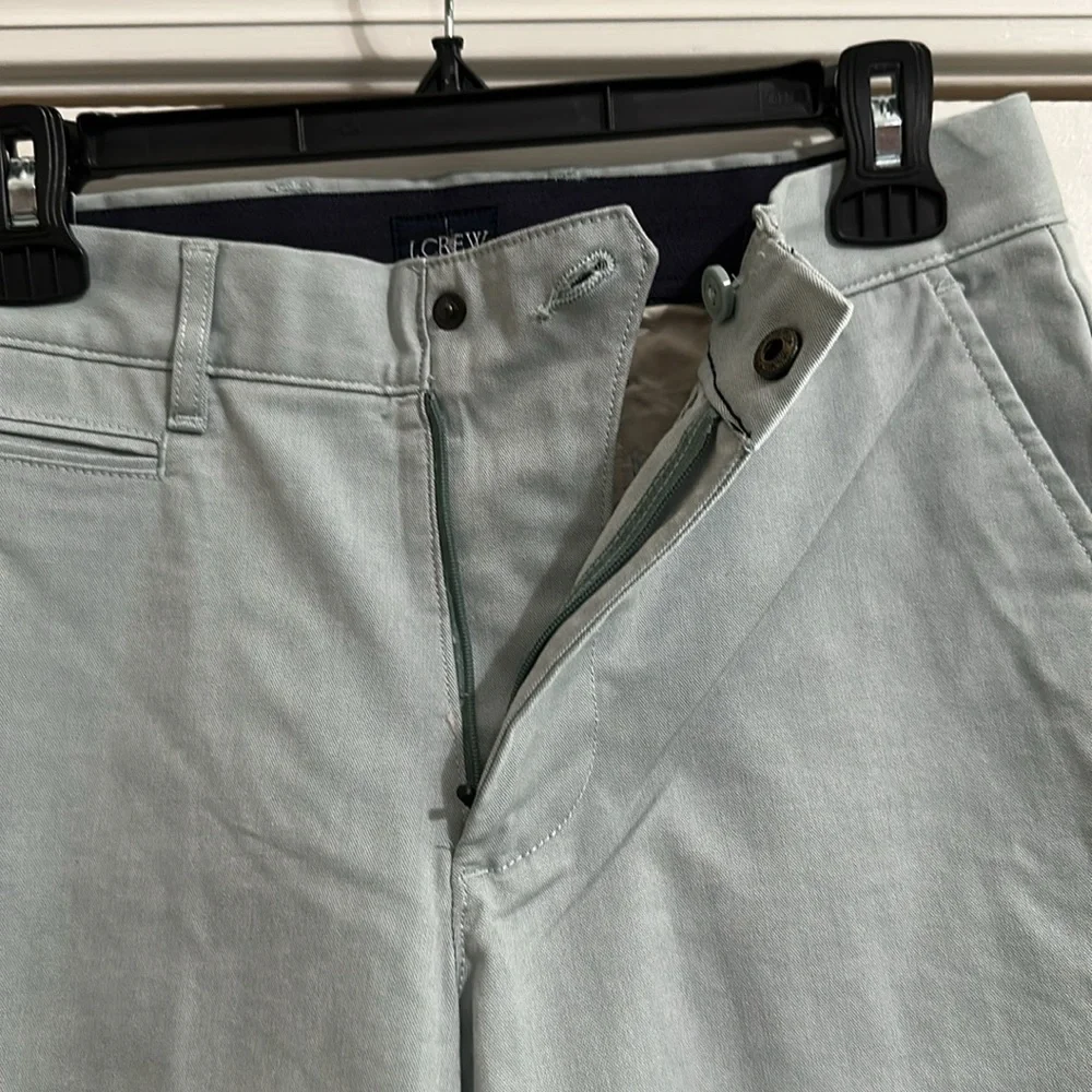 J.Crew 9” Oxford Tech Short in Green White Oxford